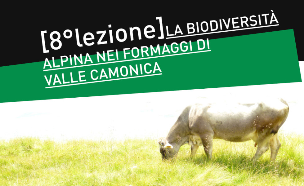 ottava lezione biodistretto 2016