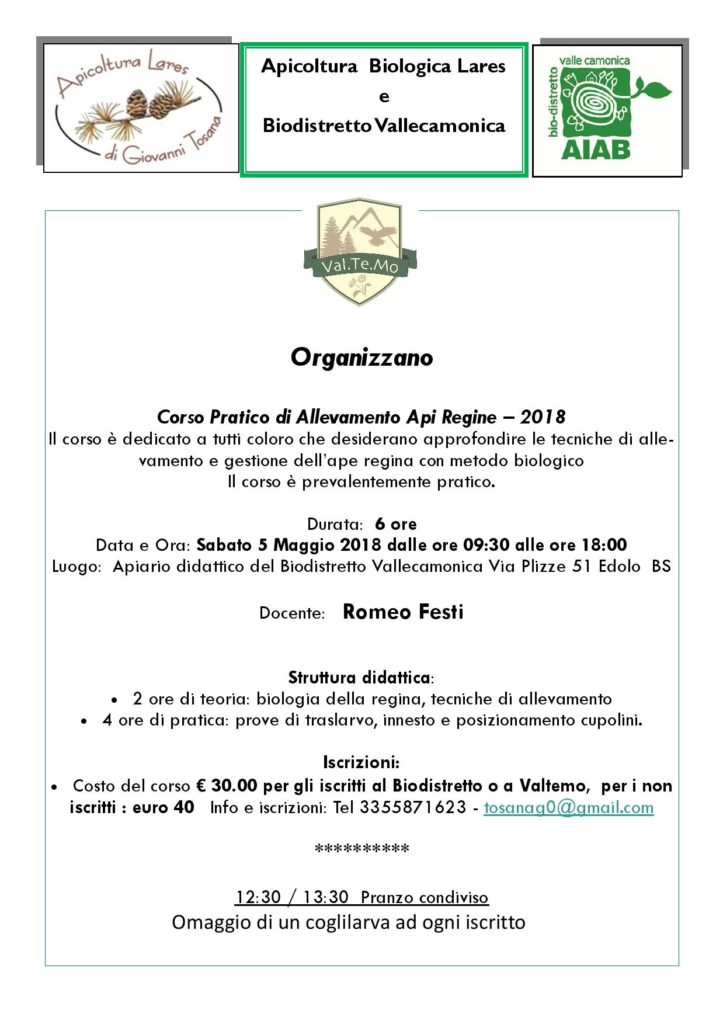 Corso api regine